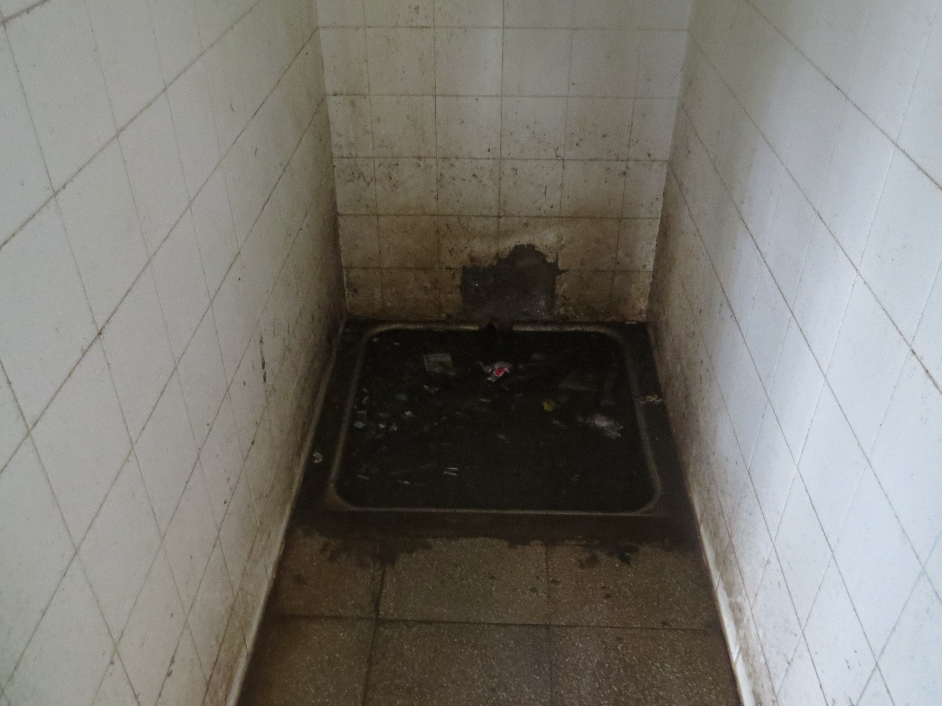 El sector de duchas del pabellón 7 conserva las mismas condiciones que fueron denunciadas hace más de dos meses.   - Foto: Procuvin