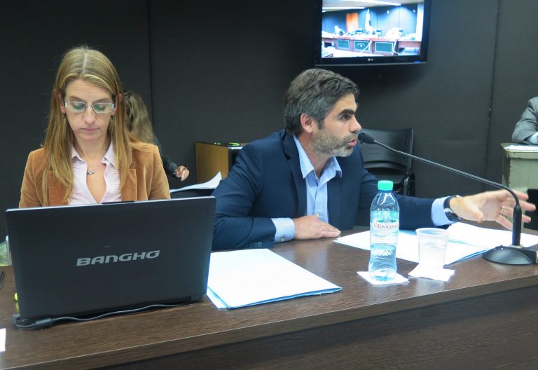 Mar del Plata: la Fiscalía pidió perpetua para los dos ex militares acusados del homicidio de Ana Lía Magliaro