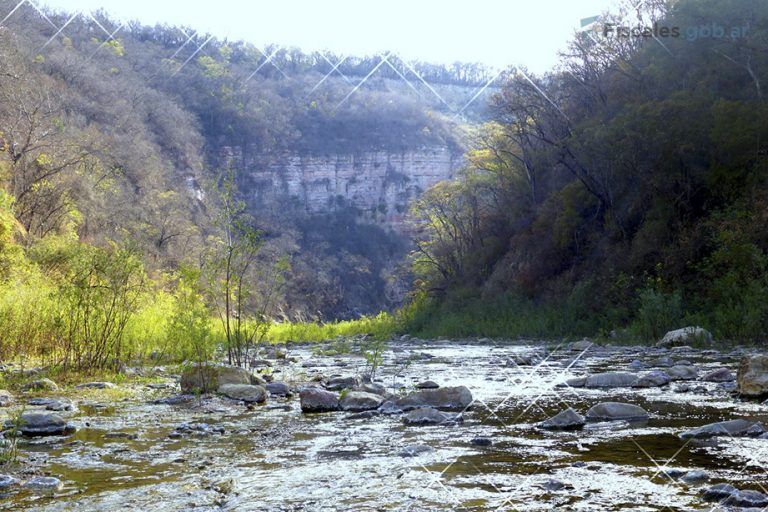 Acusan a dos productores en una causa que investiga la tala de bosques nativos protegidos