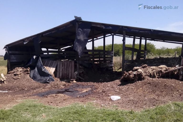 Ordenaron embargos preventivos sobre once inmuebles y 71 automotores para asegurar las reparaciones económicas que corresponden a las víctimas