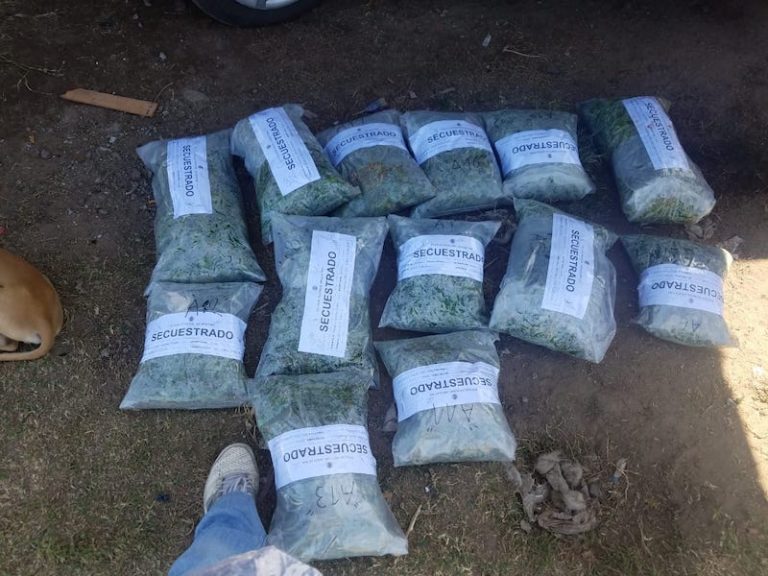 Venado Tuerto: tres detenidos en dos allanamientos por tráfico de estupefacientes