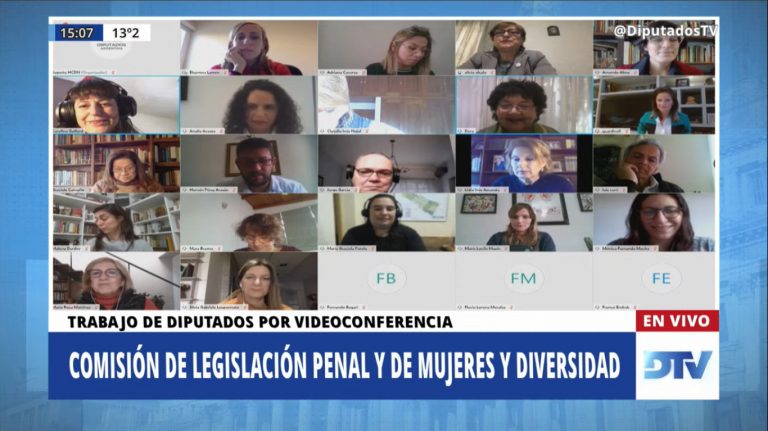 La DOVIC participó de la quinta reunión de comisiones de Legislación Penal y Mujeres y Diversidad de la Cámara de Diputados de la Nación