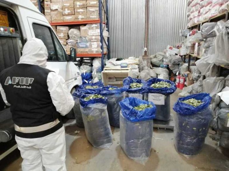 Juicio para dos hombres doblemente detenidos con cargas de hoja de coca