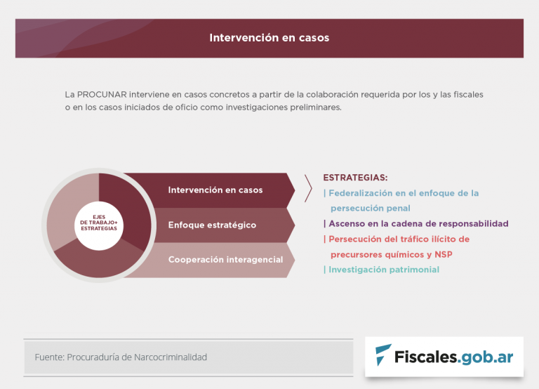 La Procuraduría de Narcocriminalidad produjo el informe de gestión anual 2020