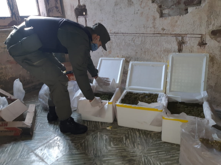 Allanaron el campo de un productor agropecuario en Maggiolo, provincia de Santa Fe, y secuestraron más de siete kilos de marihuana