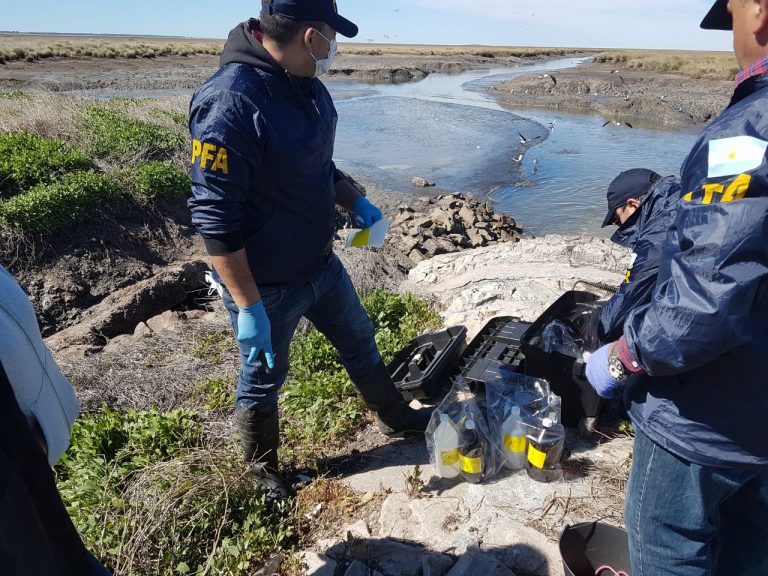 Bahía Blanca: la Cámara Federal revocó la homologación de acuerdos ambientales e indicó que la acción penal se mantiene vigente