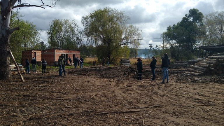 Corrientes: hallaron en condiciones irregulares a 145 trabajadores de siete aserraderos
