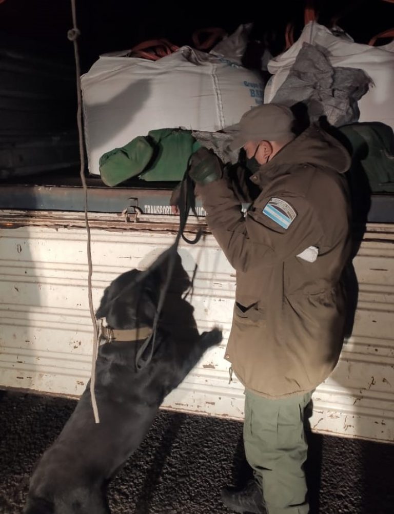 Salta: en un juicio abreviado, condenaron a un camionero que transportaba más de 60 kilos de cocaína