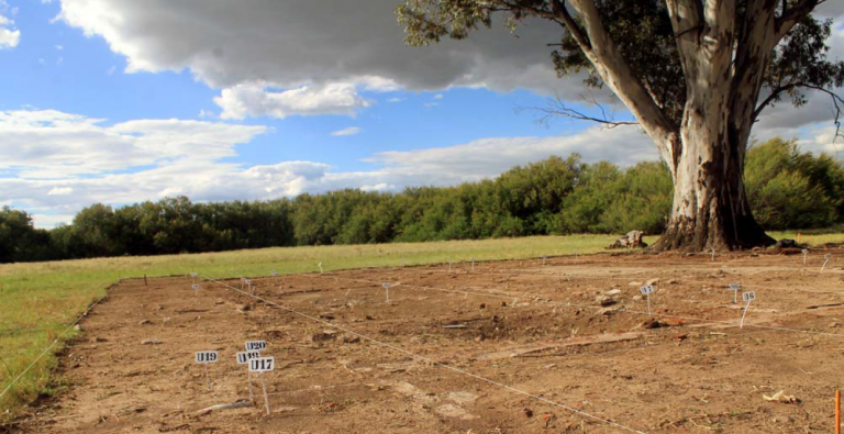 Bahía Blanca: solicitaron la elevación a juicio oral de un nuevo tramo en la causa “Ejército”