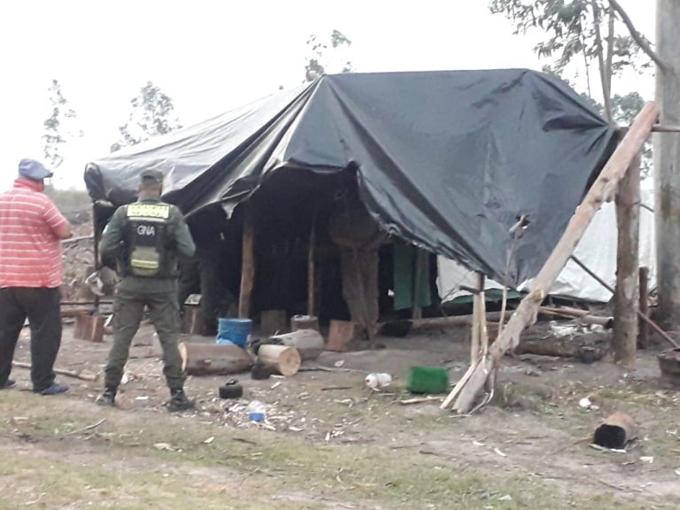 Concordia: en una investigación por trata de personas, rescataron a 12 trabajadores de un campo dedicado al raleo de eucalipto