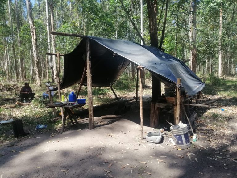 Entre Ríos: en una investigación por el delito de trata, rescataron a cuatro trabajadores en una estancia