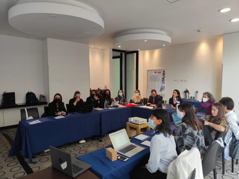 La Red Especializada en Género de la AIAMP avanza en la elaboración de un protocolo para casos de violencia sexual