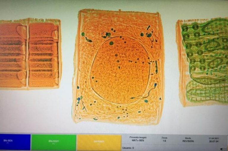 Salta: condenaron a tres jóvenes a seis años de prisión por transporte de droga mediante encomiendas
