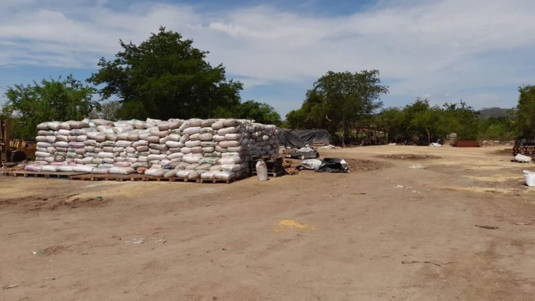 Salta: imputan y dictan prisión preventiva a tres personas por contrabando de granos, asociación ilícita y lavado de activos