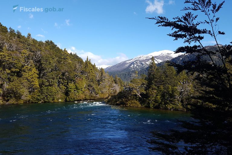 Esquel: homologan un acuerdo de reparación integral en materia ambiental por un hecho de contaminación en el Parque Nacional Los Alerces