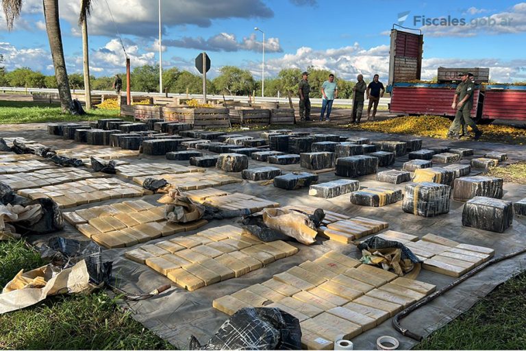 Concordia: detuvieron al chofer de un camión que transportaba casi dos toneladas de marihuana ocultas en cajones de mandarinas en mal estado