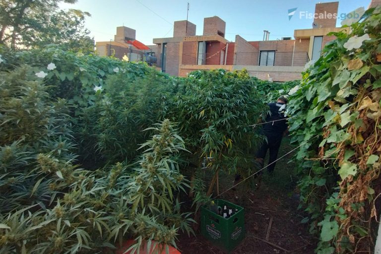 Detuvieron a nueve personas y desbarataron una organización dedicada al narcotráfico tras 18 allanamientos