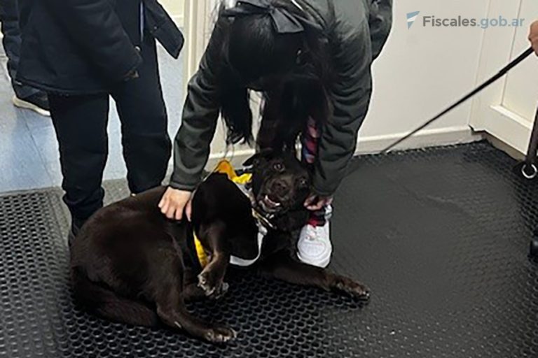 Dos niñas víctimas de abuso brindaron sus testimonios acompañadas por una perra entrenada