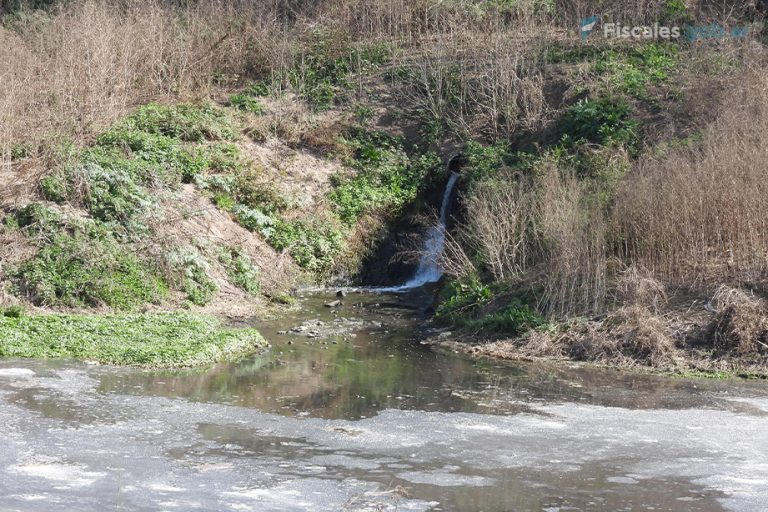 Hurlingham: solicitan el llamado a indagatoria por contaminación ambiental del presidente de un matadero ubicado en Merlo