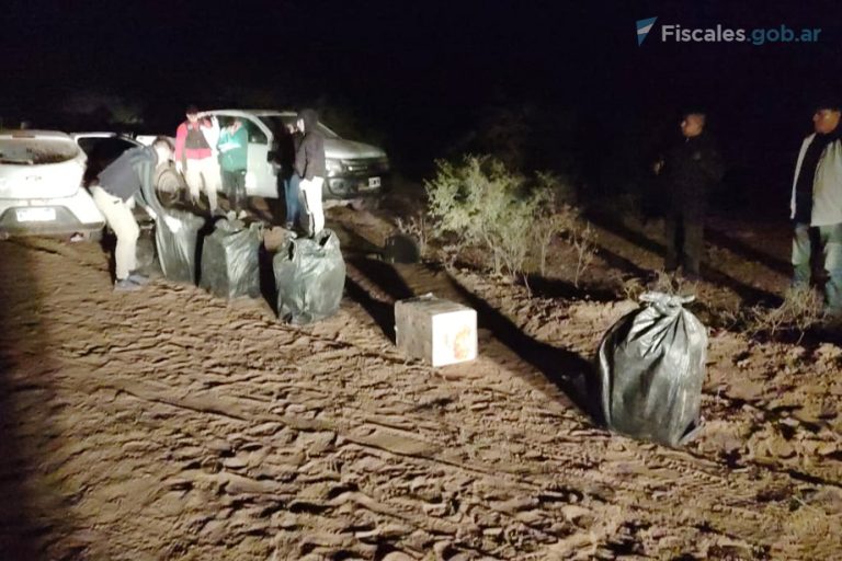 Salta: imputaron a un hombre por organizar dos transportes de más de 190 kilos de marihuana