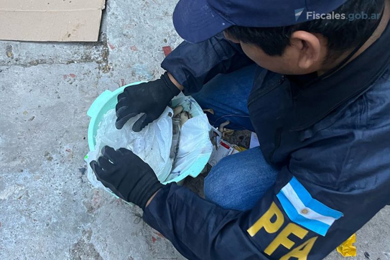 Mar del Plata: desbarataron una organización narcocriminal que era comandada por dos personas detenidas en unidades penales