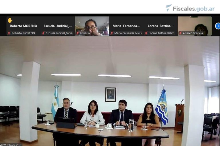 La UFEM capacitó al Poder Judicial y al Ministerio Público de Santa Cruz sobre investigación y litigio en casos de violencia sexual