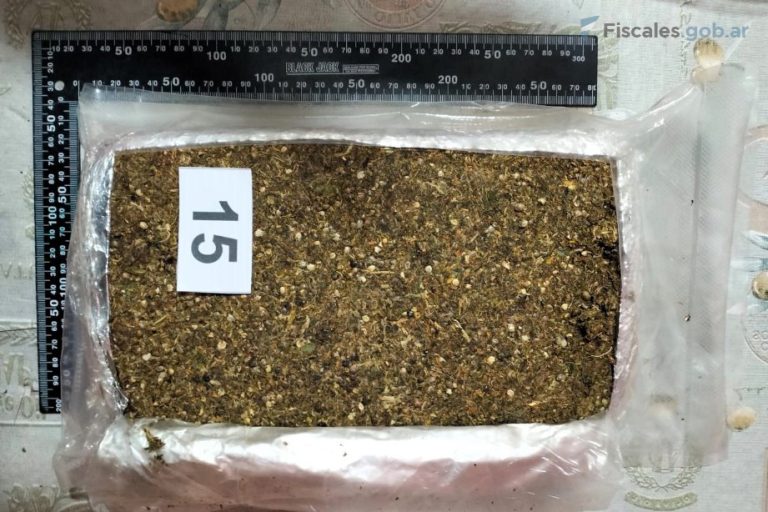 Salta: envían a juicio a un empleado de la justicia provincial por el transporte de 23 kilos de marihuana