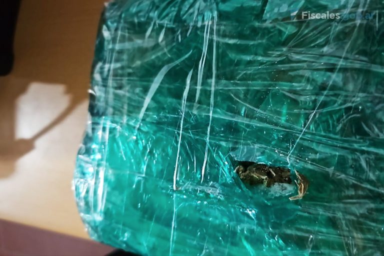 Jujuy: condenan a un extranjero por transporte de estupefacientes pero la fiscalía pide en Casación que se lo declare reincidente por sus antecedentes en su país