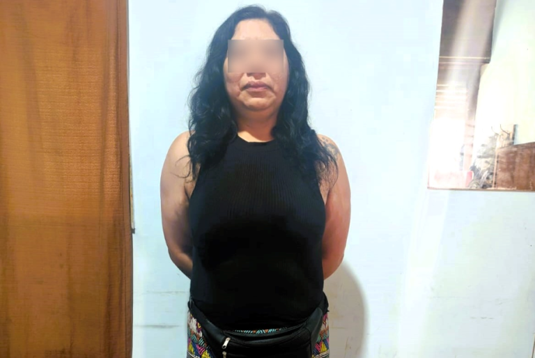 Piden el juicio oral para una mujer acusada de asesinar de nueve puñaladas a su expareja en Saavedra