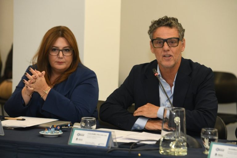 Un informe de la ONU destacó el aporte de la PROTEX sobre la explotación de mujeres en contexto de la práctica de “subrogación de vientres”