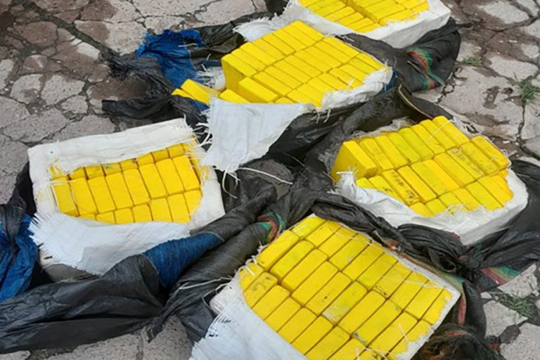 Tucumán: procesan con prisión preventiva a dos personas acusadas de organizar el transporte de 155 kilos de cocaína