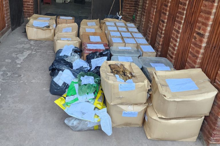 Mar del Plata: incineraron más de 140 kilos de marihuana