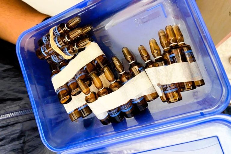 Concepción del Uruguay: condenan a 5 años de prisión a un enfermero del hospital público que vendía fentanilo y psicofármacos por Telegram