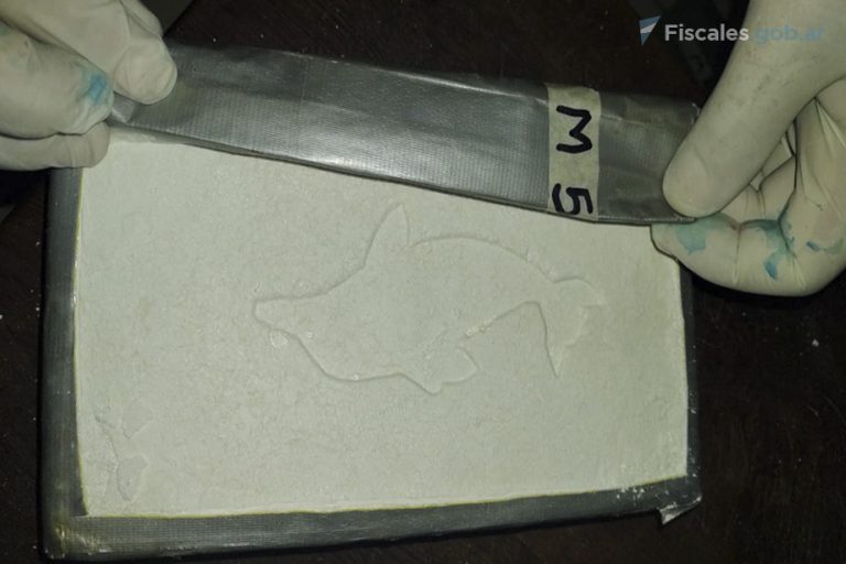 San Nicolás: pidieron juicio oral para 14 acusados de integrar una red transnacional de narcotráfico