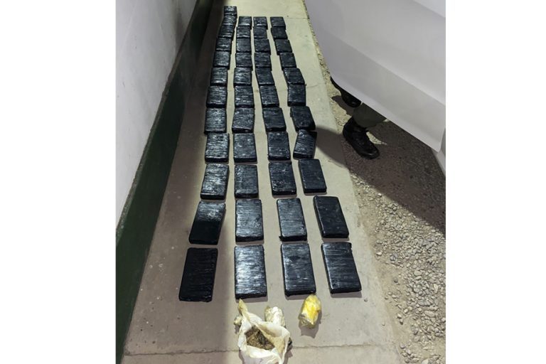 Salta: dos hombres fueron condenados por transportar 63 kilos de cocaína reducida con un antiparasitario para animales