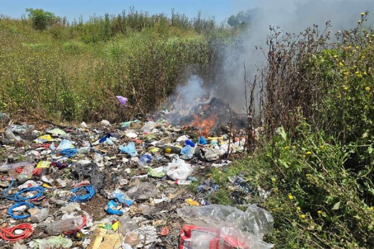 Realizaron una inspección judicial en el predio de la VII Brigada Aérea en el marco del amparo ambiental impulsado por la Fiscalía Federal de Moreno