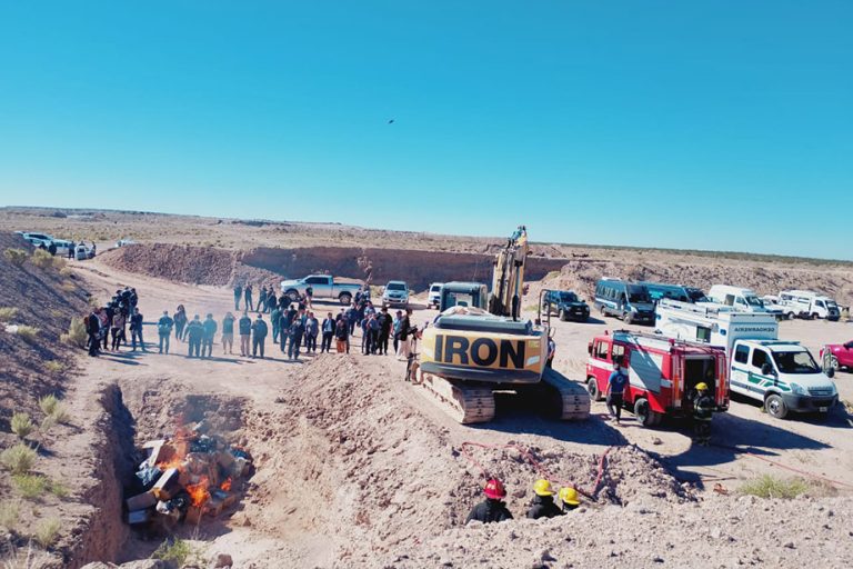 General Roca: incineraron más de 43 kilos y casi 900 plantas de marihuana