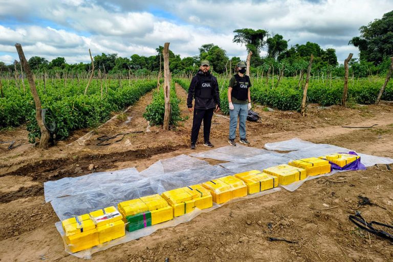 Orán: imputan a los líderes y un integrante de una organización narcocriminal que arrendaba fincas agrícolas para acopiar cocaína
