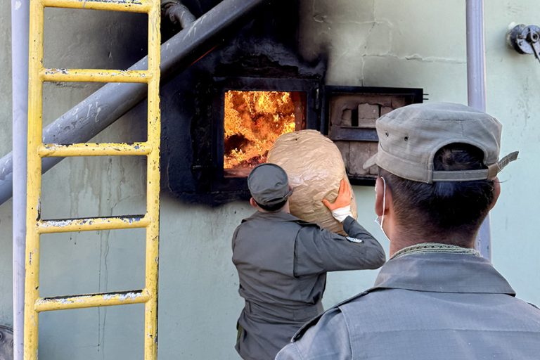 Paso de los Libres: incineraron más de tres toneladas de marihuana