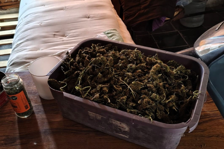 Zapala: imputaron a dos hombres por transporte y tenencia con fines de comercialización de más de 14 kilos de marihuana