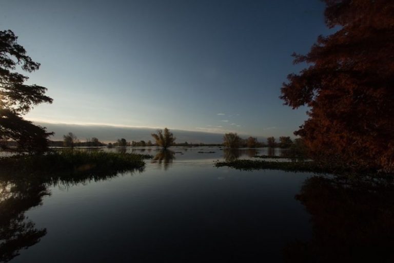 San Nicolás: ordenan la indagatoria de directivos de una agroquímica y de funcionarios provinciales por su presunta responsabilidad en la contaminación del Río Paraná