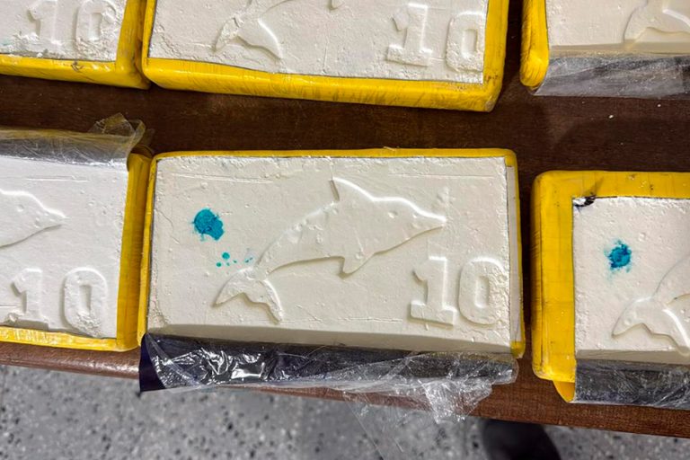 Jujuy: imputan y dictan prisión preventiva a un hombre por transportar dentro de una camioneta 106 kilos de cocaína en bolsas de arpillera 