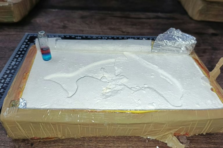 Salta: quedó detenido por transporte de estupefacientes un conductor que llevaba a Buenos Aires más de 65 kilos de cocaína adheridos al tanque de combustible