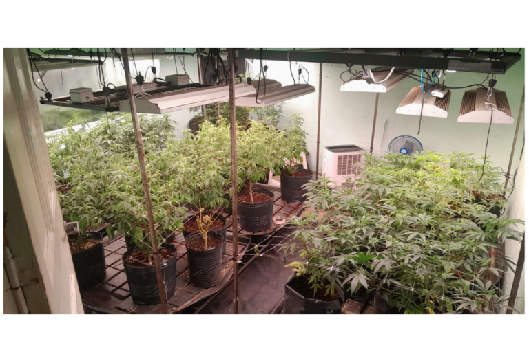 Rosario: seis personas imputadas por conformar una red de tráfico de marihuana y drogas sintéticas entre Santa Fe, La Rioja, Córdoba y CABA